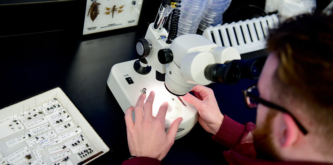student with microscope