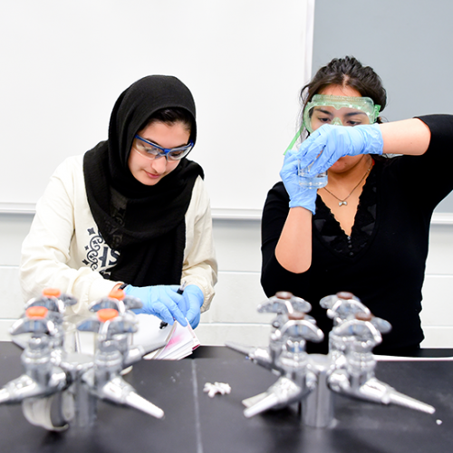 Female students working in a science lab