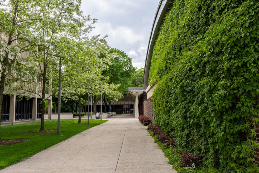 UIC East Campus Greenery