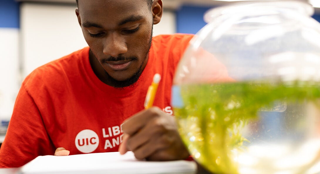 Student studies at a desk wearing a red UIC shirt